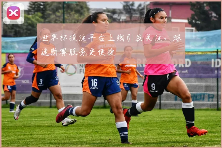 世界杯投注平台上线引发关注，球迷购赛服务更便捷