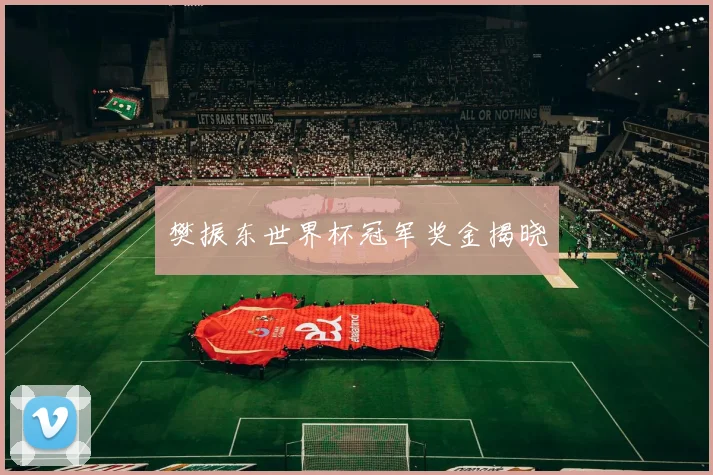 樊振东世界杯冠军奖金揭晓